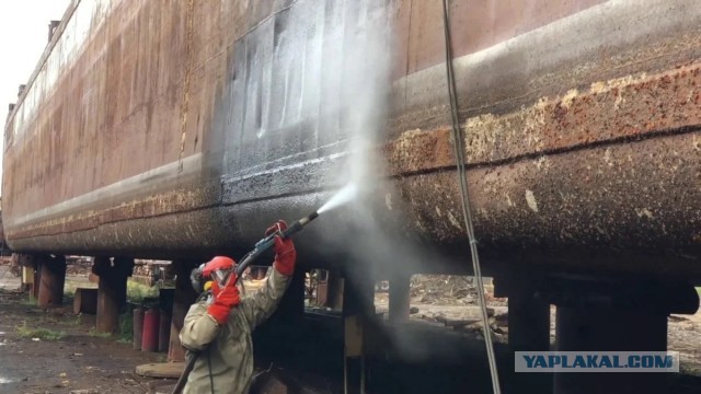 «Борода» у корабля: Как животные превращают морские суда в ржавый металлолом?