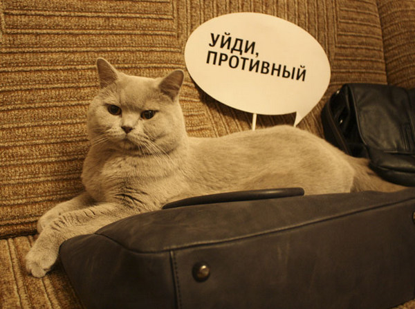 Пандемия. Коронавирус. Россия и мир. Последняя информация. Часть 24