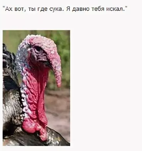 Многие женщины требуют от мужчины наличия своей машины, но не могут внятно объяснить для чего
