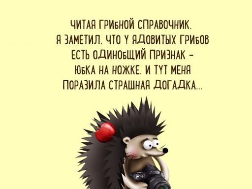 Так себе картинки 12.11.21