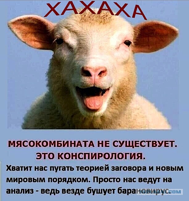 Вопросы сторонникам принудительной вакцинации