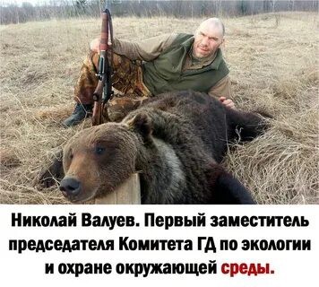 Вам медвежатины? Сейчас организуем