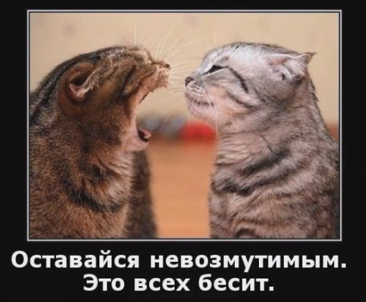 Весёлый полтишок 28.02.22