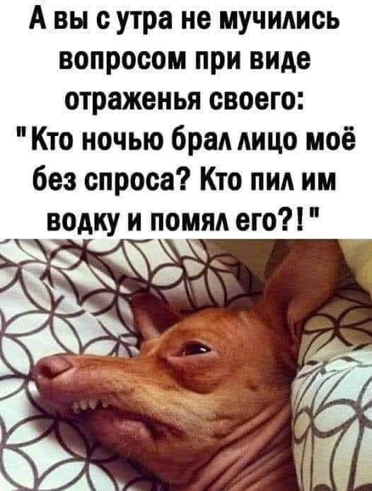 Картинки и мемы для настроения - 29