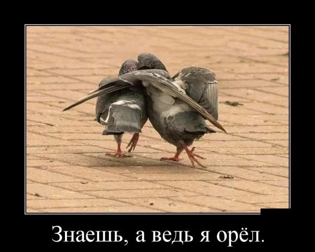 Картинки с надписями 02.07.22