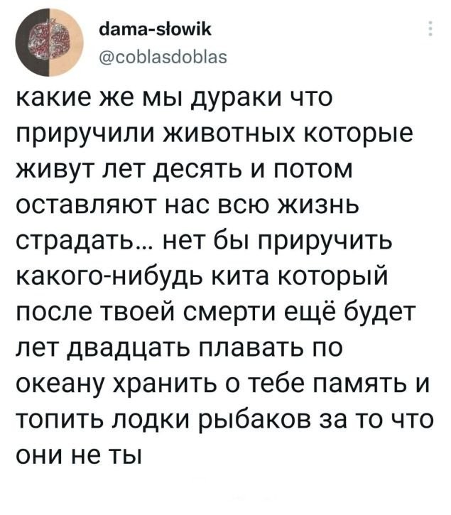 Скриншоты и комментарии из социальных сетей 22.07.22