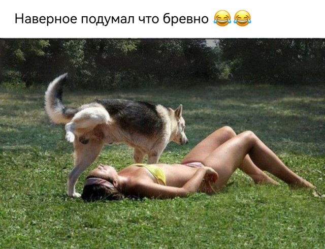 Картинки и мемы для настроения. Выходные рядышком...