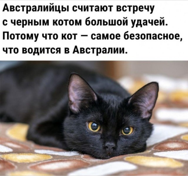 Картинки и мемы для настроения - 03