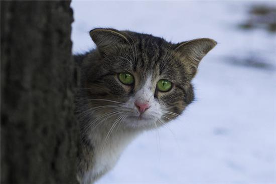 Рыбалки псто