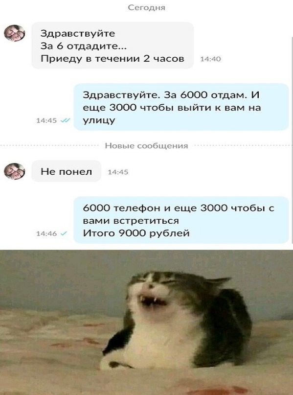 Картинки и мемы, всем хороших выходных