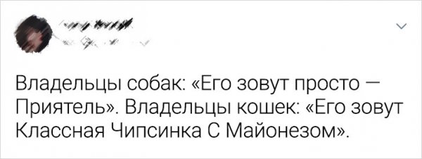 Картинки и мемы для настроения - 125