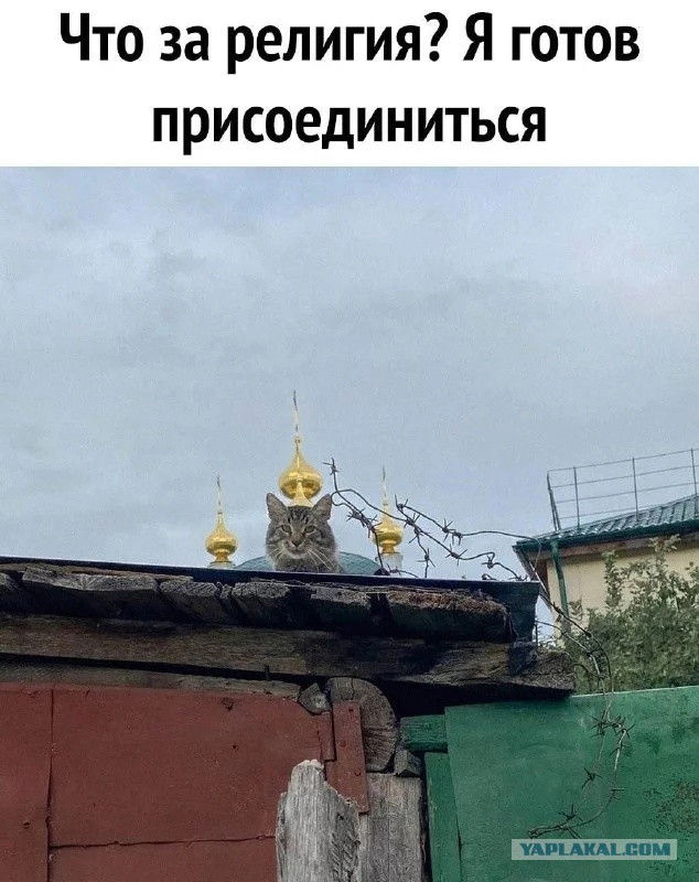 Так себе картинки 04.01.23