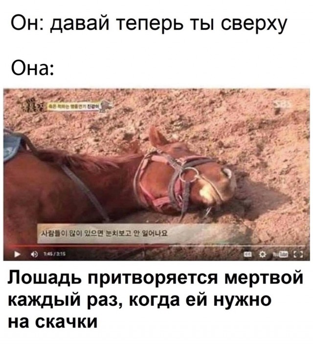 Картинки и мемы для настроения - 119