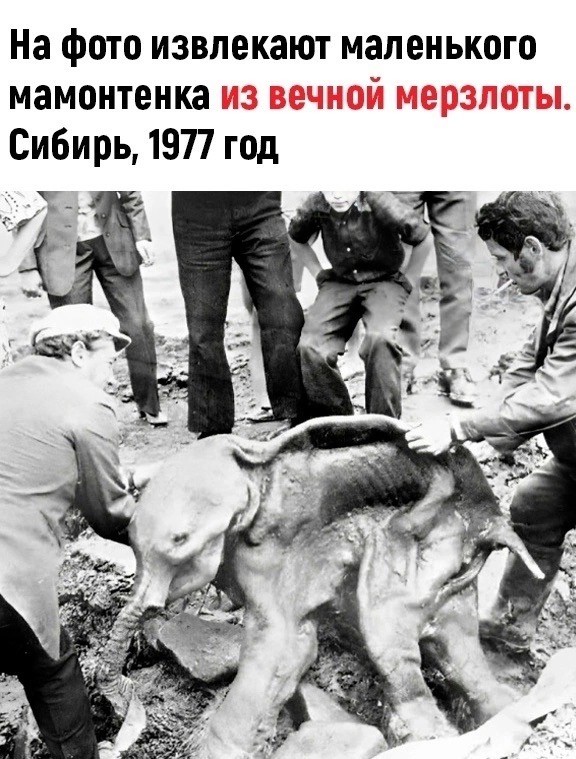 Фотографии из прошлого нашей страны - 30