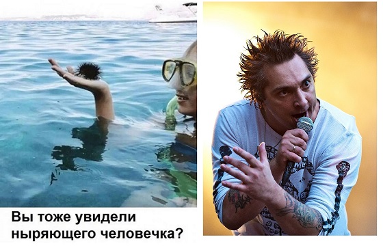 Отряд быстрого деградирования