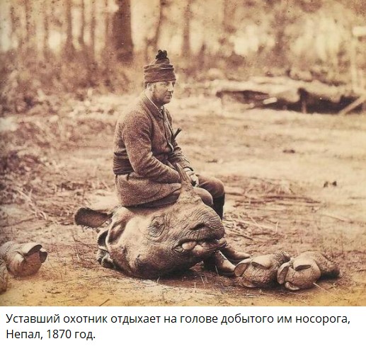 "Личинка носорога" радостно носится на прогулке с мамой