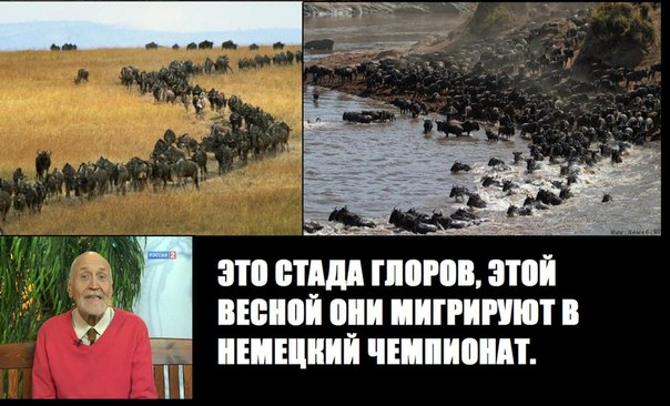 Спорт с улыбкой, интересности в сети