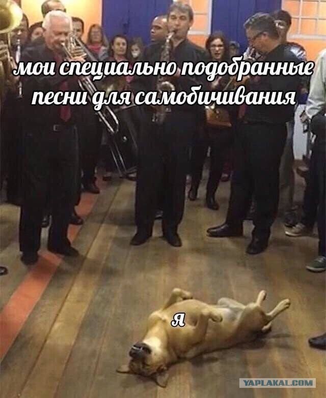 Весёлый полтишок 29.01.24