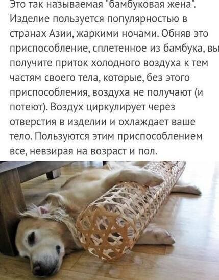 Никакие картинки