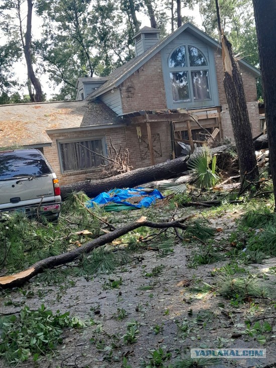 Конкурс «Космические грибы». Итоги