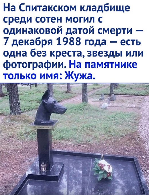 Жужа