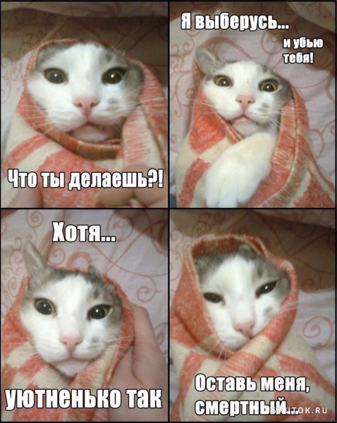Так себе картинки 11.10.24