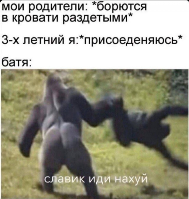 Картинки из Дристоля - 4