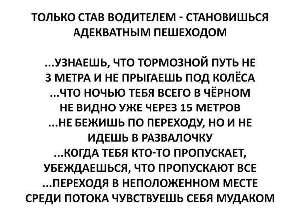 Весёлый полтишок 19.12.24