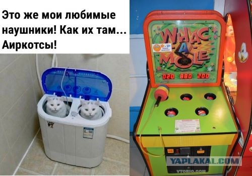 Так себе картинки 28.12.24