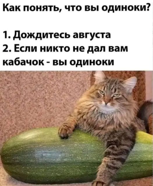 Веселые картинки в пятницу (14.02)
