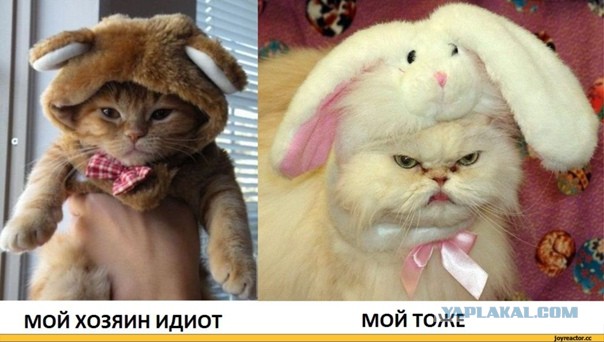 Пообедал