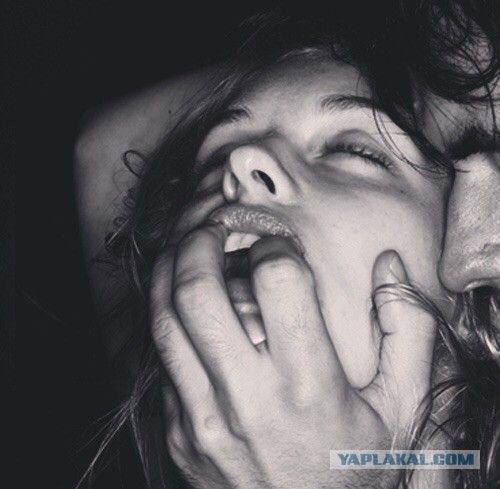 По московским студенческим чатам идет рассылка объявлений о поиске волонтеров с перспективой «работать в аппарате президента»