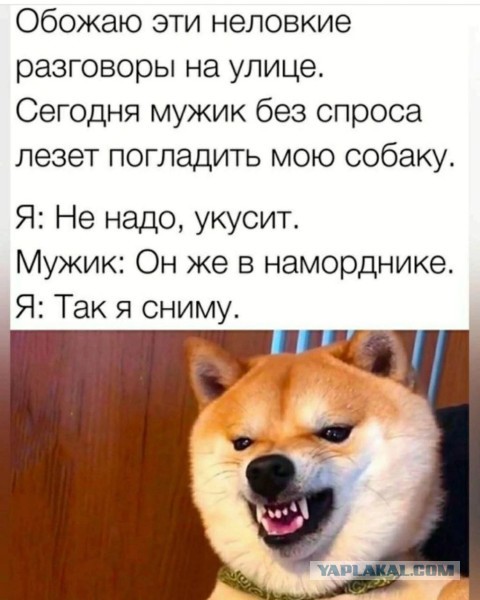 Картинки для деградации 99 (разной степени свежести)