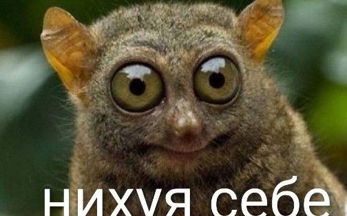 Настоящие друзья