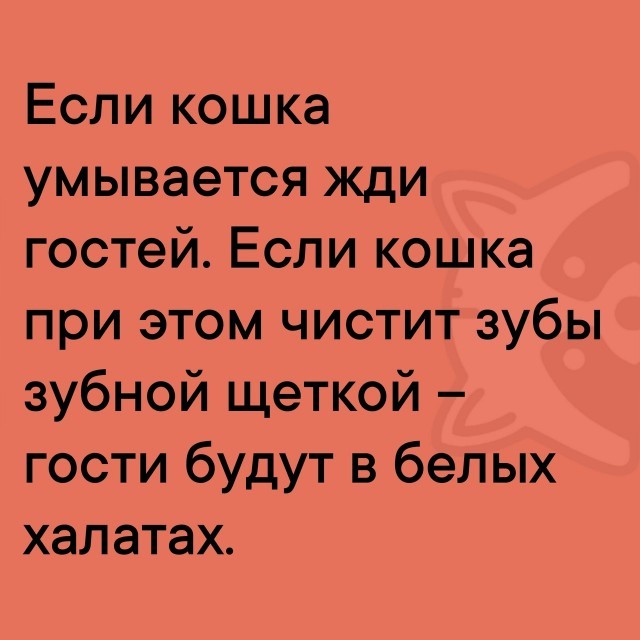 Подборка картинок-баянов с котиками и про котиков. Выпуск 34.