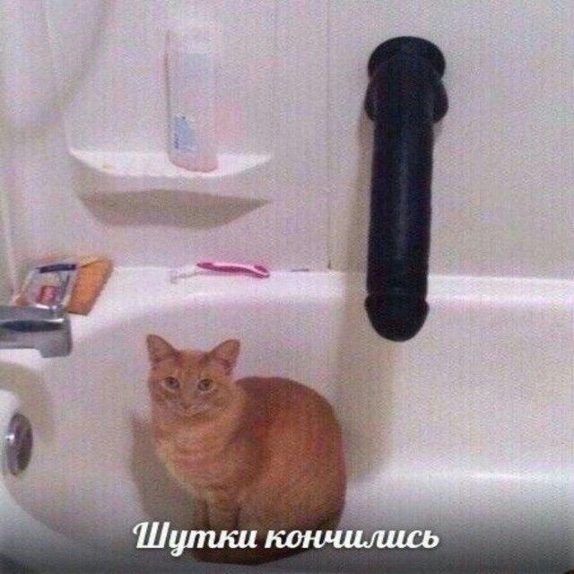 Забавные и не очень скромные картинки - 31