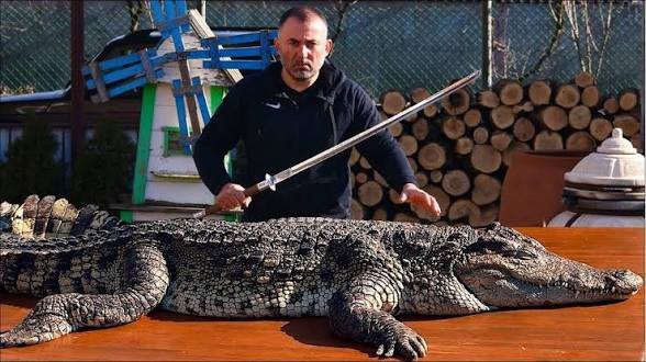 Они нас скоро съедят