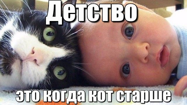 Так себе картинки 13.06.26