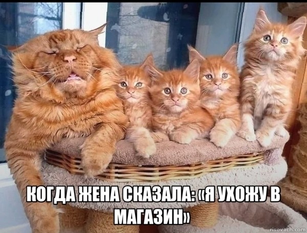 Ужас и Адъ