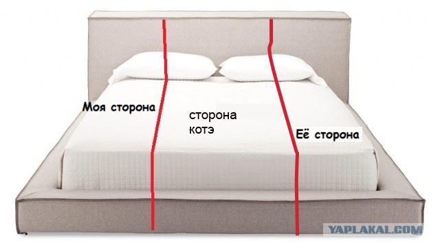 Востребованность функционала мужчины в браке