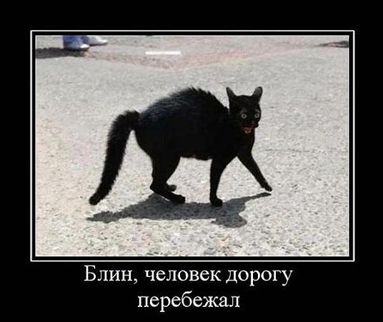 Тема для юмора