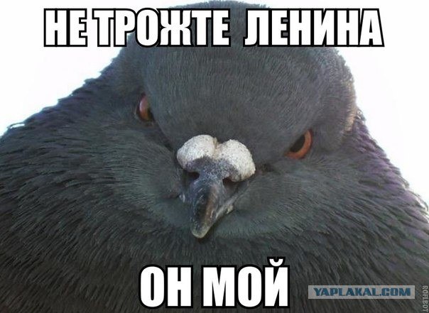 Ленин держит оборону