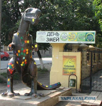 Девушка и котэ
