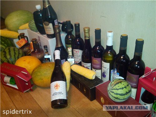 Отдых на Азове в станице Голубицкой