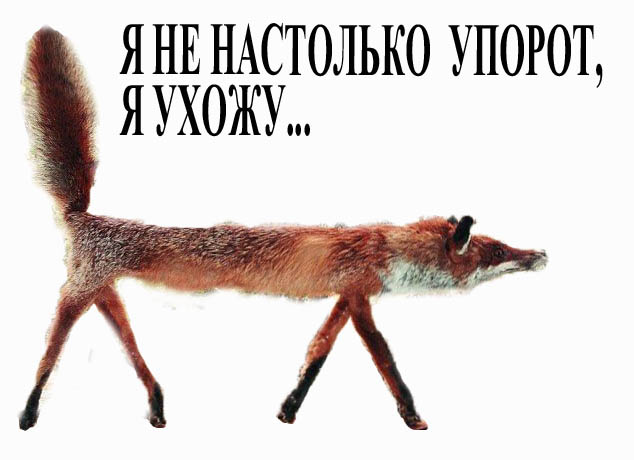 Трансгендеров из НАТО видели?