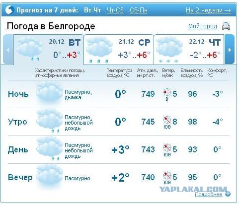 Декабрь в курсе!