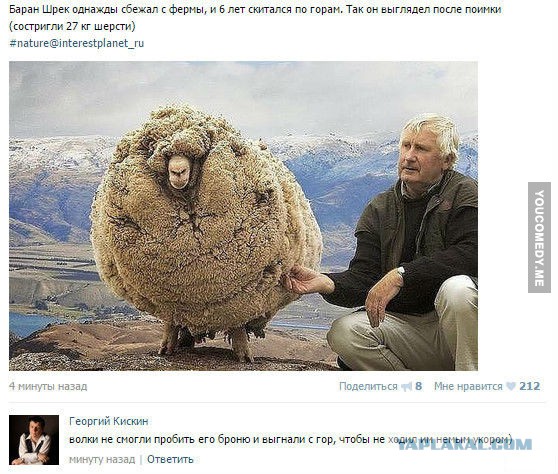 Смешные комментарии из социальных сетей