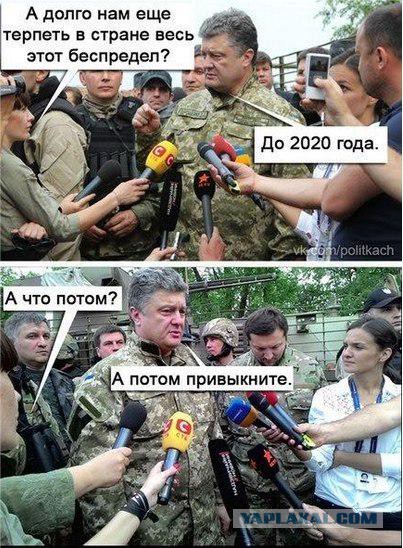 Весёлое из сети