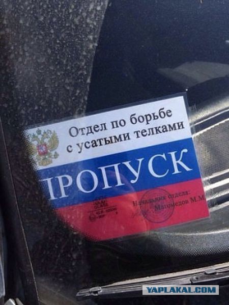 Армянские женщины