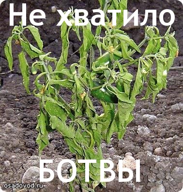 Уже сегодня вечером по ящику.